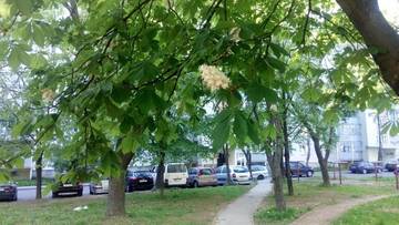 Фото номера Апартаменты Апартаменты Cozy Apartment near Metro г. Минск 79