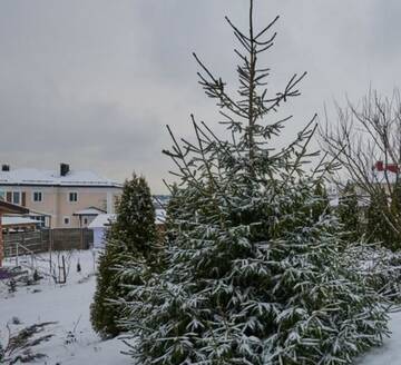 Фото номера Коттедж с 6 спальнями Дома для отпуска House with Sauna and Pool г. Минск 39