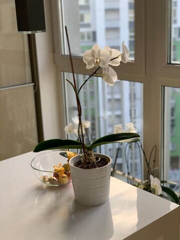 Фото номера Апартаменты Делюкс Апартаменты Luxury two rooms apartment г. Минск 49