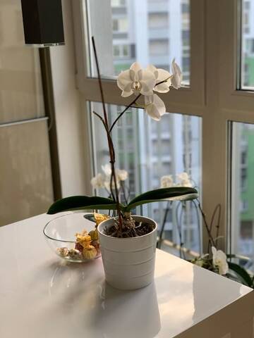 Фото номера Апартаменты Делюкс Апартаменты Luxury two rooms apartment г. Минск 11