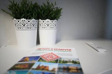Фото номера Апартаменты Апартаменты Amelia Mayak Minska г. Минск 41