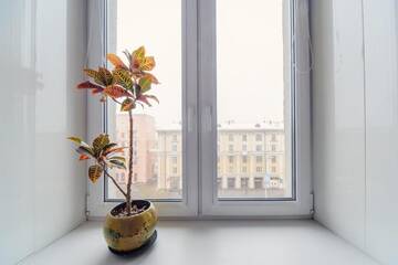 Фото номера Стандартные апартаменты Апартаменты Economy City Center Apartment Minsk г. Минск 25