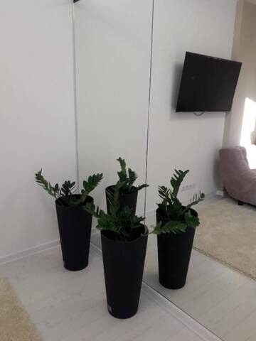 Фото номера Апартаменты с 1 спальней Апартаменты Apartment Klimt Mayak Minsk г. Минск 40