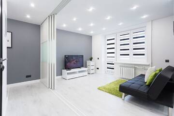 Фото номера Апартаменты с 1 спальней Апартаменты Apartments Roomer г. Минск 9