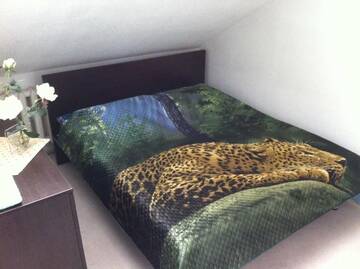 Фото номера Апартаменты с 4 спальнями и балконом – Двухуровневые Апартаменты Apartment style and comfort г. Минск 22