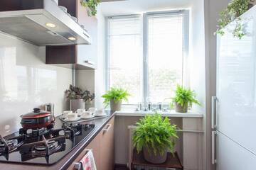Фото Апартаменты Kvartira Nezavisimosti 46 г. Минск 5