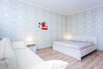 Фото номера Апартаменты Делюкс Апартаменты Apartment Roomer 9 г. Минск 2