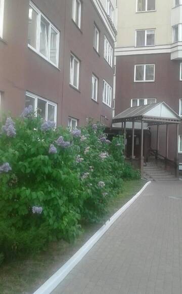 Фото номера Апартаменты с 2 спальнями Апартаменты Apartment on Pritytskogo г. Минск 51
