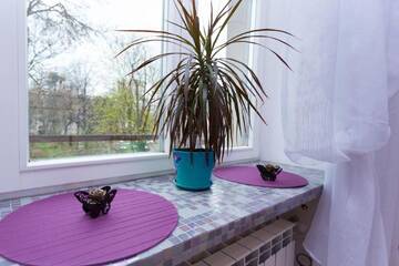 Фото номера Апартаменты Делюкс Апартаменты Apartment in the center Kirova 6 г. Минск 4