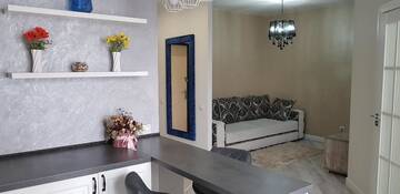 Фото номера Улучшенные апартаменты Апартаменты Apartment in citycenter on Repina 4 г. Минск 28