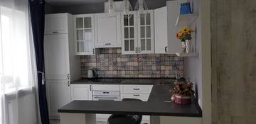 Фото номера Улучшенные апартаменты Апартаменты Apartment in citycenter on Repina 4 г. Минск 29