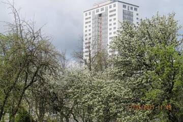 Фото номера Улучшенные апартаменты Апартаменты Apartments Ludwig van Beethoven г. Минск 48