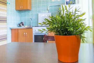 Фото номера Апартаменты-студио Апартаменты Apartments on Budennogo 28 г. Минск 13
