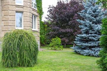 Фото Гостевой дом Guest House DOM 18 г. Минск 5