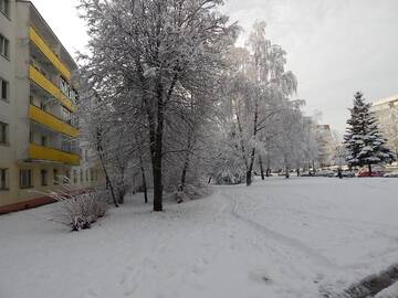 Фото номера Апартаменты - 1-й этаж Апартаменты Логойский Тракт 30 г. Минск 21