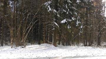 Фото номера Вилла Виллы Silent Place г. Минск 34