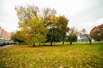 Фото номера Улучшенные апартаменты Апартаменты Apartment Tanka 16 г. Минск 37